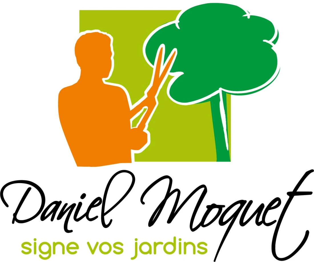logo DMJ