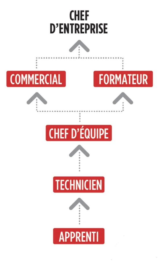 Evolution au sein du r&eacute;seau Daniel Moquet