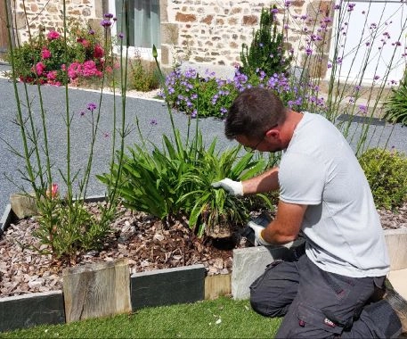 Jardinier création